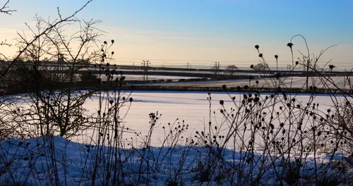 This landscape photograph captures rural fields near Bolsover, blanketed in snow during a clear winter afternoon. The sun casts a gentle light across the countryside, highlighting the crisp texture of the snow on the ground and the silhouettes of bushes and dried wild plants in the foreground. Power lines stretch across the fields, and low hedgerows divide the agricultural land, all contributing to the tranquil rural setting. The scene is typical of the Bolsover area in winter, with open fields and distant trees under a pale blue sky.